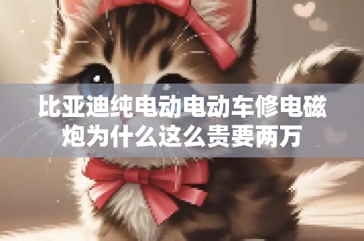 比亚迪纯电动电动车修电磁炮为什么这么贵要两万
