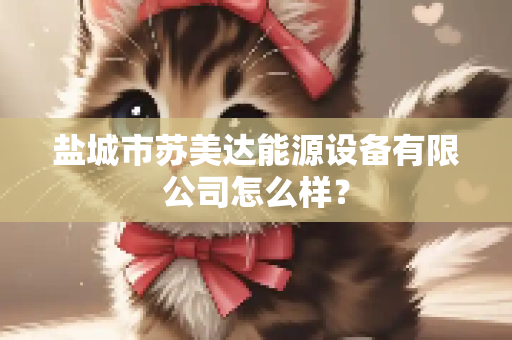 盐城市苏美达能源设备有限公司怎么样？
