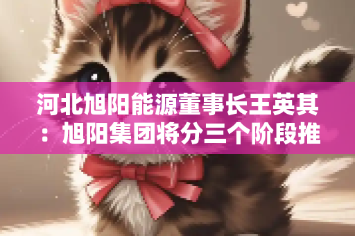河北旭阳能源董事长王英其：旭阳集团将分三个阶段推进氢能产业发展