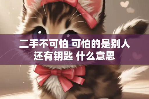二手不可怕 可怕的是别人还有钥匙 什么意思