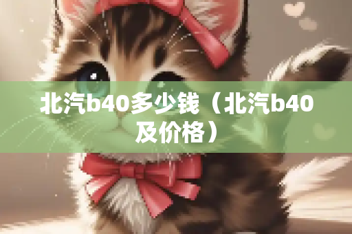 北汽b40多少钱（北汽b40及价格）