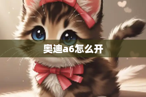 奥迪a6怎么开