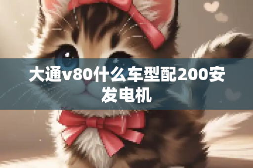 大通v80什么车型配200安发电机