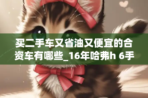 买二手车又省油又便宜的合资车有哪些_16年哈弗h 6手动挡8万多公里可以入手吗