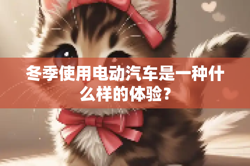 冬季使用电动汽车是一种什么样的体验？