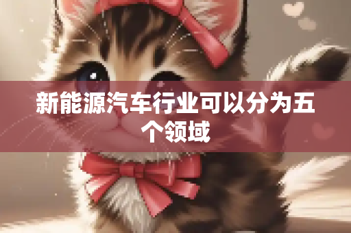 新能源汽车行业可以分为五个领域