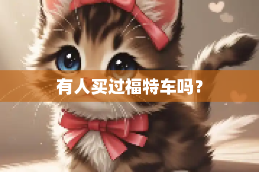 有人买过福特车吗？