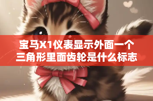 宝马X1仪表显示外面一个三角形里面齿轮是什么标志