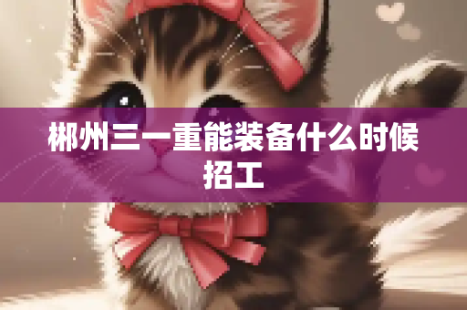 郴州三一重能装备什么时候招工