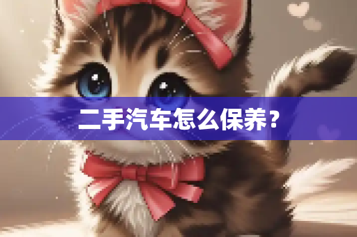 二手汽车怎么保养？