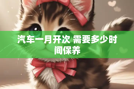 汽车一月开次 需要多少时间保养