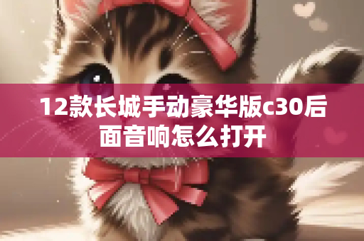 12款长城手动豪华版c30后面音响怎么打开