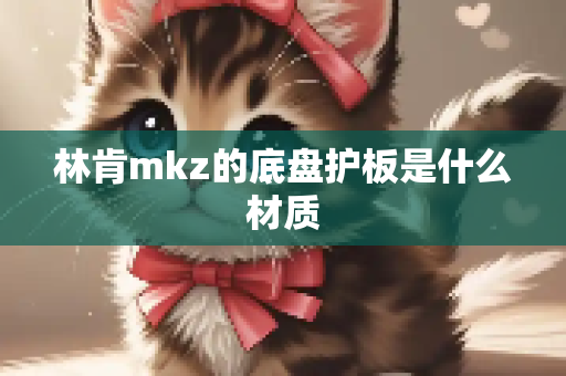 林肯mkz的底盘护板是什么材质