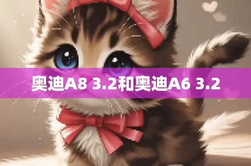 奥迪A8 3.2和奥迪A6 3.2