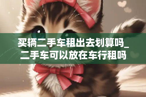 买辆二手车租出去划算吗_二手车可以放在车行租吗