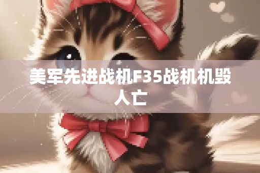 美军先进战机F35战机机毁人亡