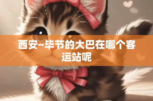 西安~毕节的大巴在哪个客运站呢