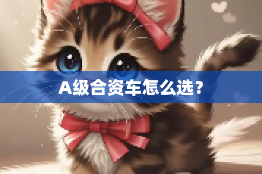 A级合资车怎么选？