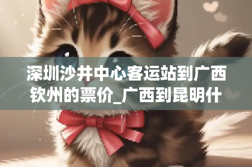深圳沙井中心客运站到广西钦州的票价_广西到昆明什么路线最便宜