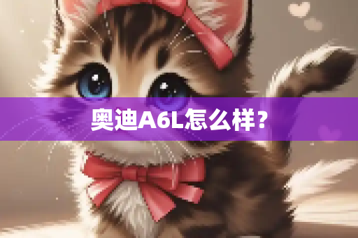奥迪A6L怎么样？