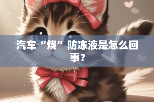 汽车“烧”防冻液是怎么回事？