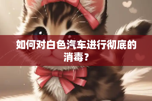 如何对白色汽车进行彻底的消毒？