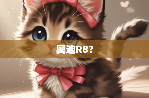 奥迪R8？