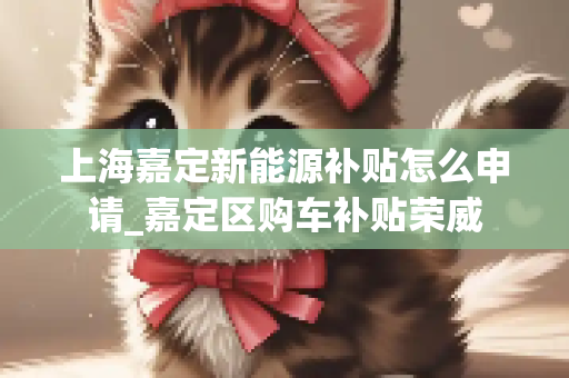 上海嘉定新能源补贴怎么申请_嘉定区购车补贴荣威