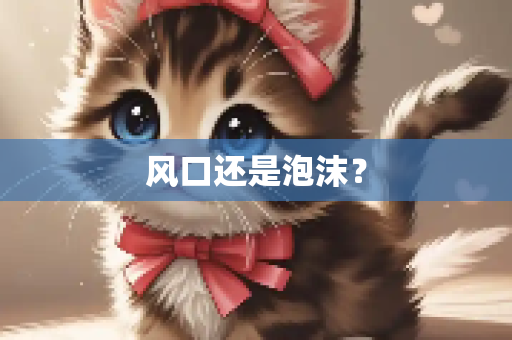 风口还是泡沫？