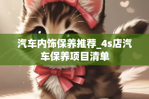 汽车内饰保养推荐_4s店汽车保养项目清单