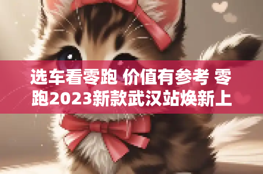 选车看零跑 价值有参考 零跑2023新款武汉站焕新上市