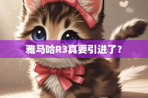 雅马哈R3真要引进了？