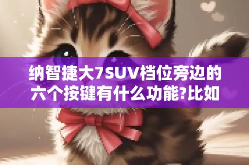纳智捷大7SUV档位旁边的六个按键有什么功能?比如,SNOW等等。