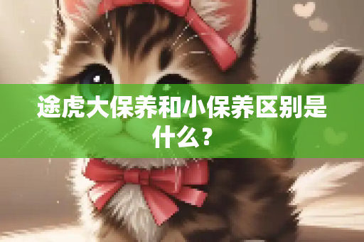 途虎大保养和小保养区别是什么？