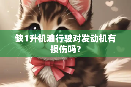 缺1升机油行驶对发动机有损伤吗？