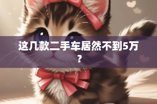 这几款二手车居然不到5万？