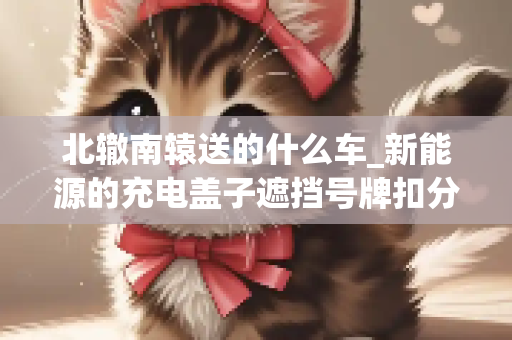北辙南辕送的什么车_新能源的充电盖子遮挡号牌扣分吗