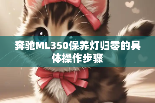 奔驰ML350保养灯归零的具体操作步骤