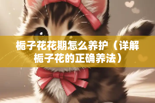 栀子花花期怎么养护（详解栀子花的正确养法）