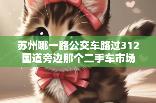 苏州哪一路公交车路过312国道旁边那个二手车市场