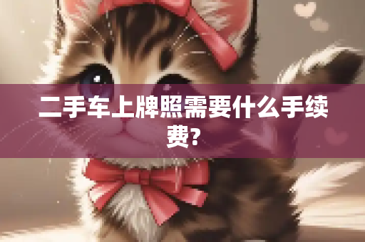二手车上牌照需要什么手续费?