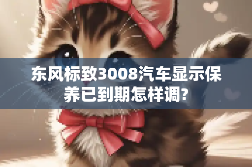 东风标致3008汽车显示保养已到期怎样调?