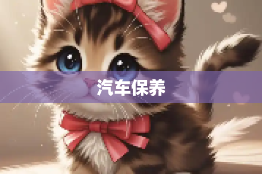 汽车保养