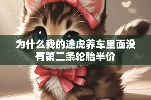 为什么我的途虎养车里面没有第二条轮胎半价
