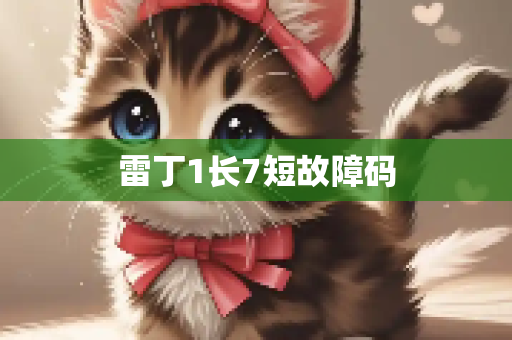 雷丁1长7短故障码