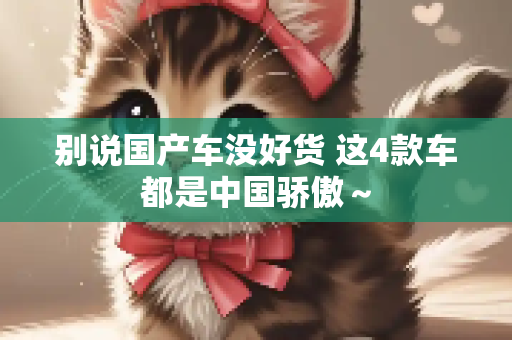 别说国产车没好货 这4款车都是中国骄傲～