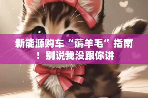 新能源购车“薅羊毛”指南！别说我没跟你讲