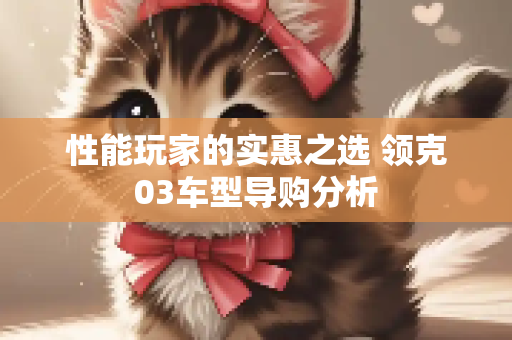 性能玩家的实惠之选 领克03车型导购分析