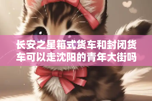 长安之星箱式货车和封闭货车可以走沈阳的青年大街吗？