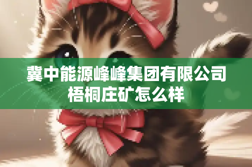 冀中能源峰峰集团有限公司梧桐庄矿怎么样